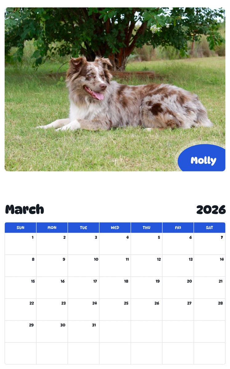 November 2025 - October 2026 Molly - Pawidols Pet Calendar