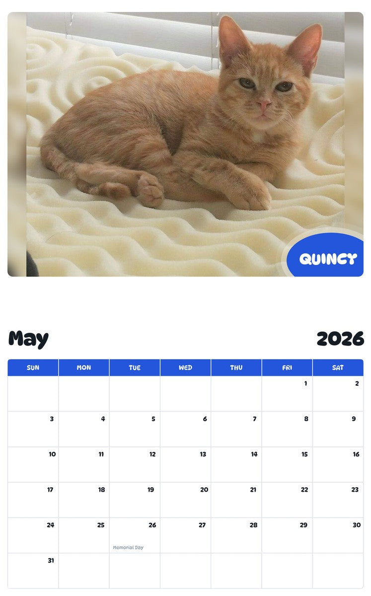 2026 - 2027 QUINCY - Pawidols Pet Calendar