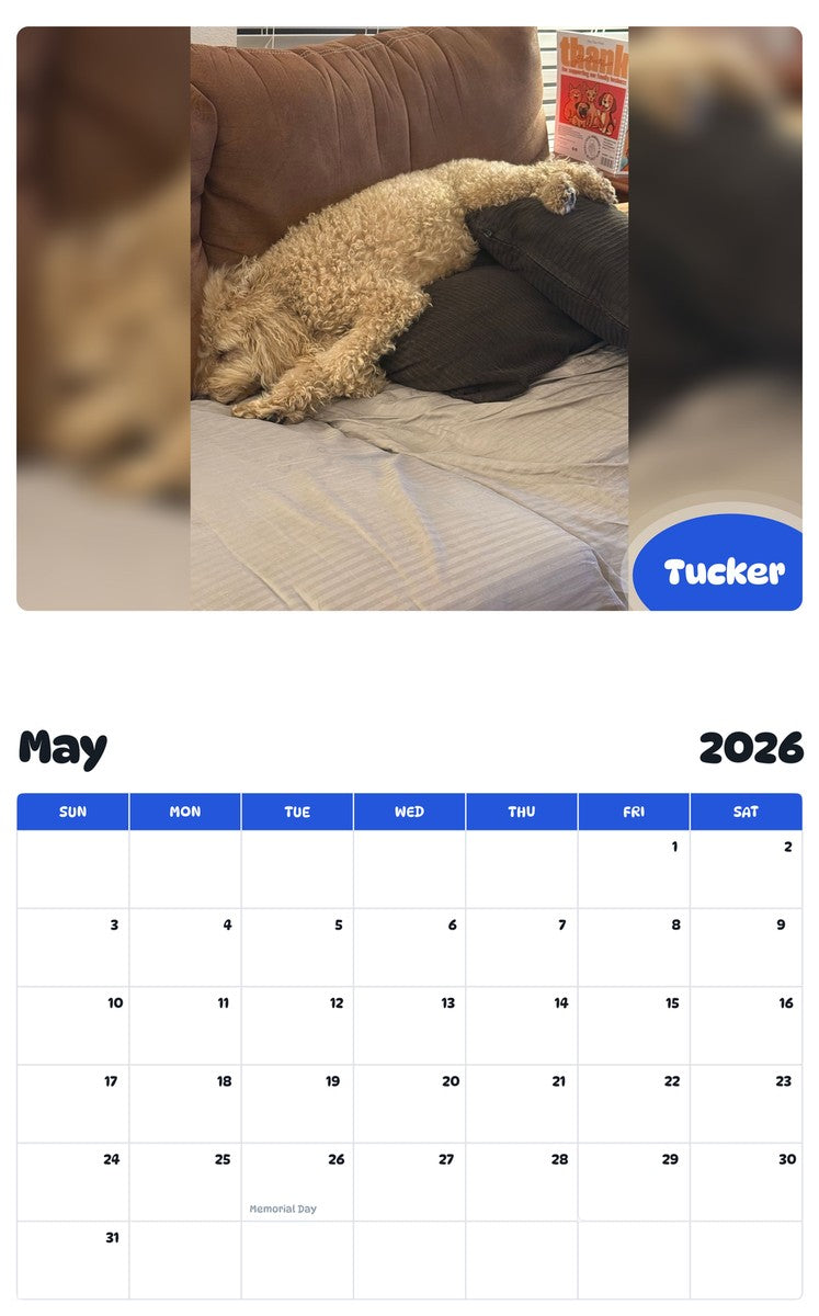 2026 - 2027 Tucker - Pawidols Pet Calendar
