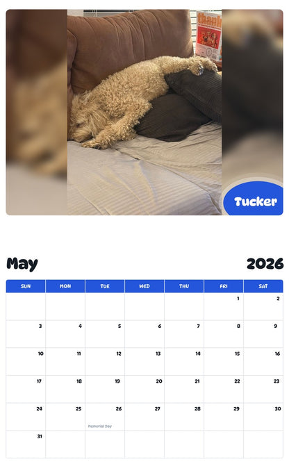 2026 - 2027 Tucker - Pawidols Pet Calendar