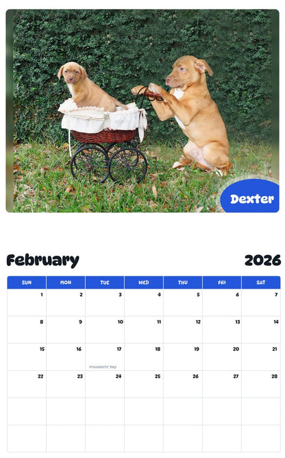 October 2025 - September 2026 Dexter - Pawidols Pet Calendar