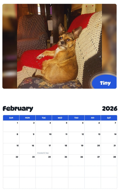 October 2025 - September 2026 Tiny - Pawidols Pet Calendar