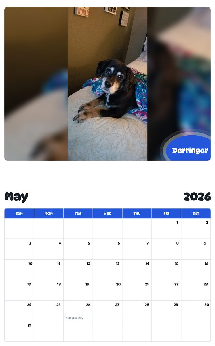 2026 - 2027 Derringer - Pawidols Pet Calendar