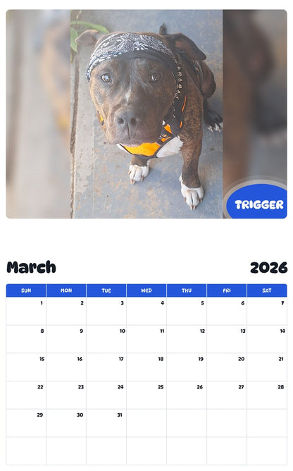 November 2025 - October 2026 TRIGGER - Pawidols Pet Calendar