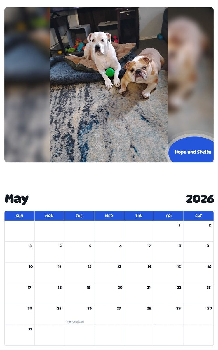2026 - 2027 Hope and Stella - Pawidols Pet Calendar