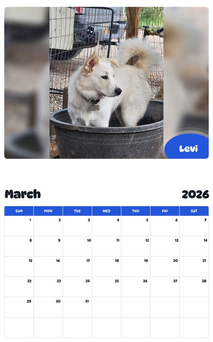 November 2025 - October 2026 Levi - Pawidols Pet Calendar