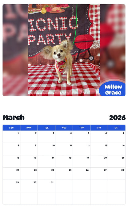 November 2025 - October 2026 Willow Grace - Pawidols Pet Calendar