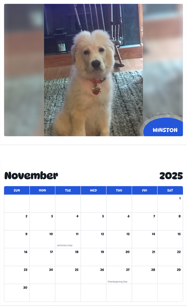 July 2025 - June 2026 Winston - Pawidols Pet Calendar