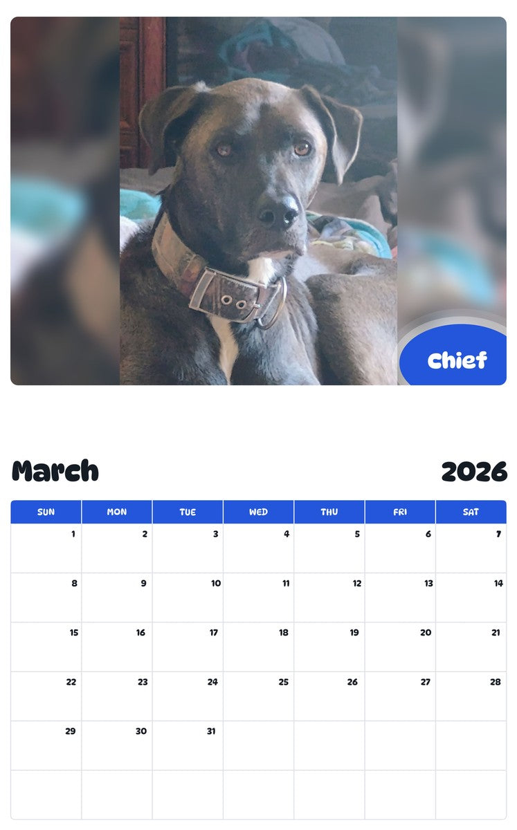November 2025 - October 2026 Chief - Pawidols Pet Calendar