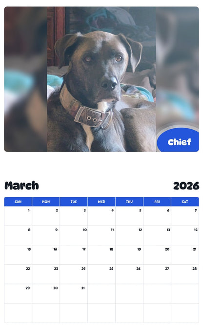 November 2025 - October 2026 Chief - Pawidols Pet Calendar