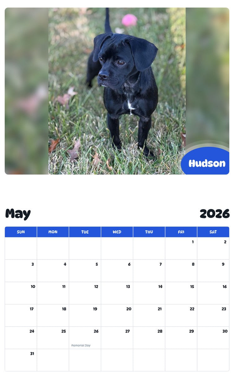 2026 - 2027 Hudson - Pawidols Pet Calendar