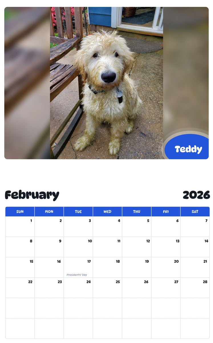 November 2025 - October 2026 Teddy - Pawidols Pet Calendar