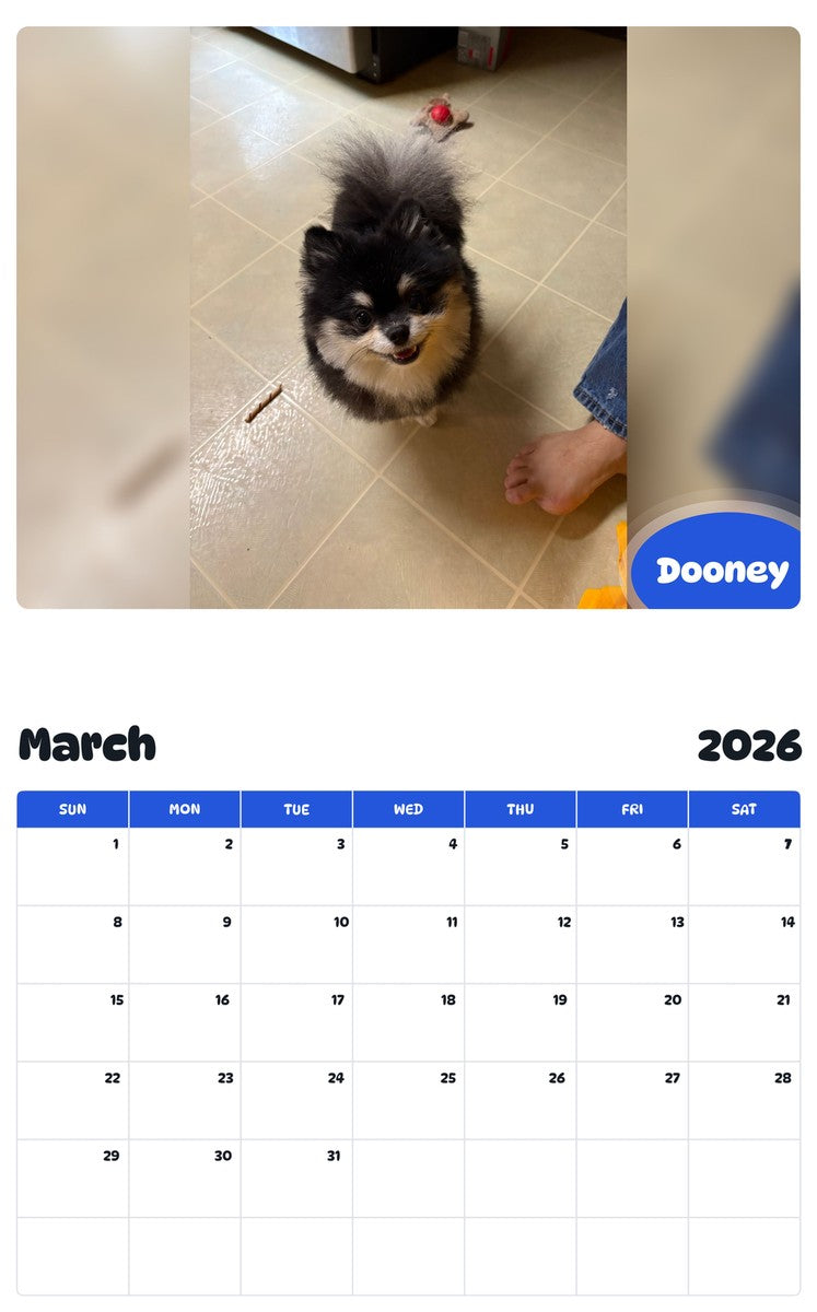 November 2025 - October 2026 Dooney - Pawidols Pet Calendar