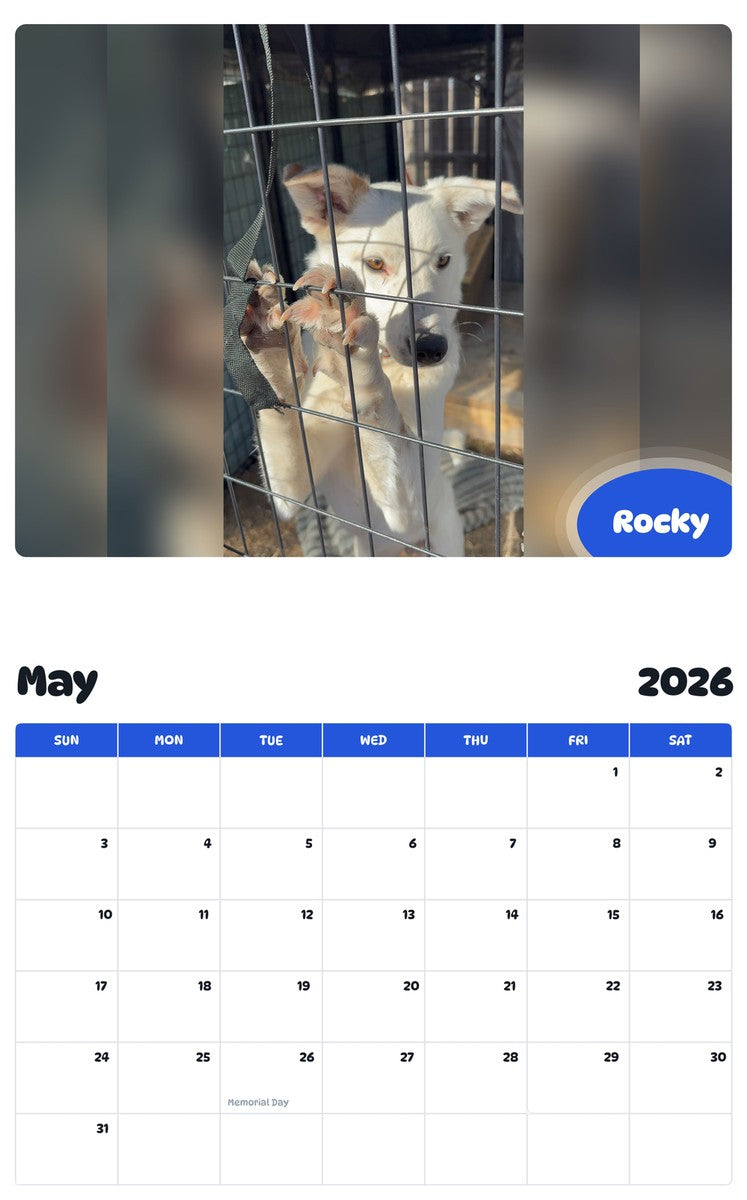 2026 - 2027 Rocky - Pawidols Pet Calendar