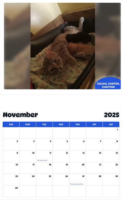 July 2025 - June 2026 Chloie, Carissa, Chapman - Pawidols Pet Calendar