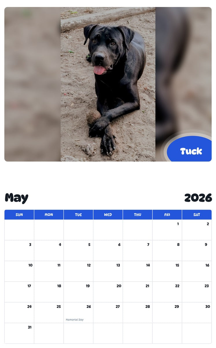2026 - 2027 Tuck - Pawidols Pet Calendar