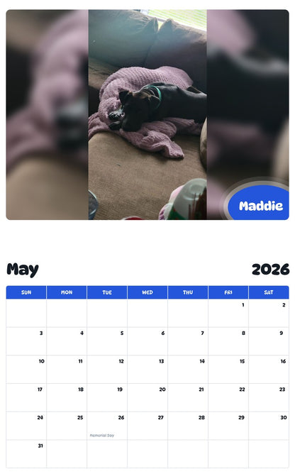 2026 - 2027 Maddie - Pawidols Pet Calendar