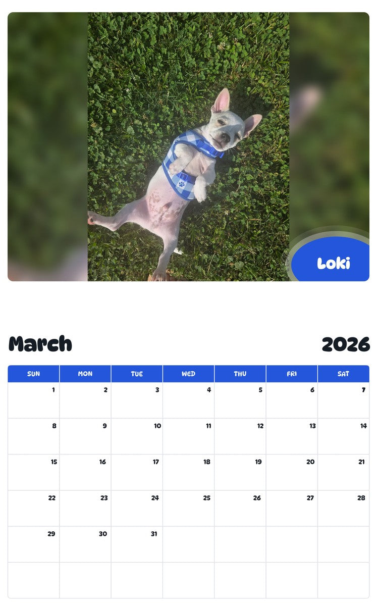 November 2025 - October 2026 Loki - Pawidols Pet Calendar