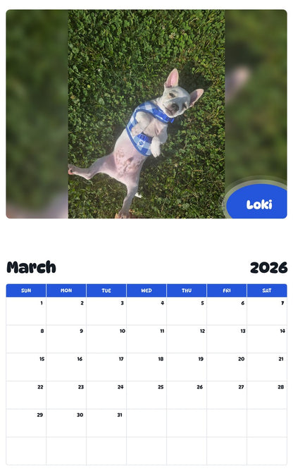 November 2025 - October 2026 Loki - Pawidols Pet Calendar
