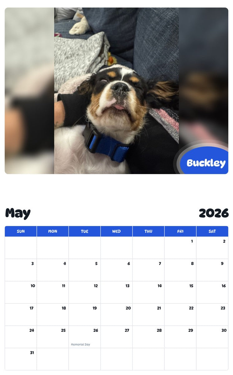 2026 - 2027 Buckley - Pawidols Pet Calendar
