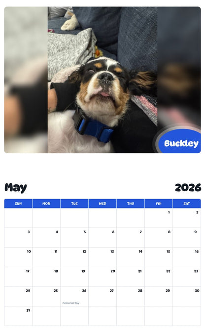 2026 - 2027 Buckley - Pawidols Pet Calendar