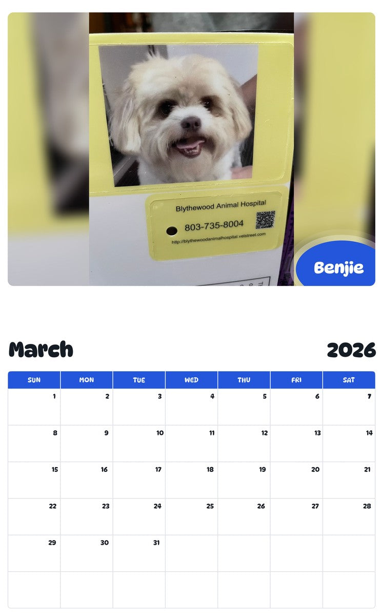 November 2025 - October 2026 Benjie - Pawidols Pet Calendar