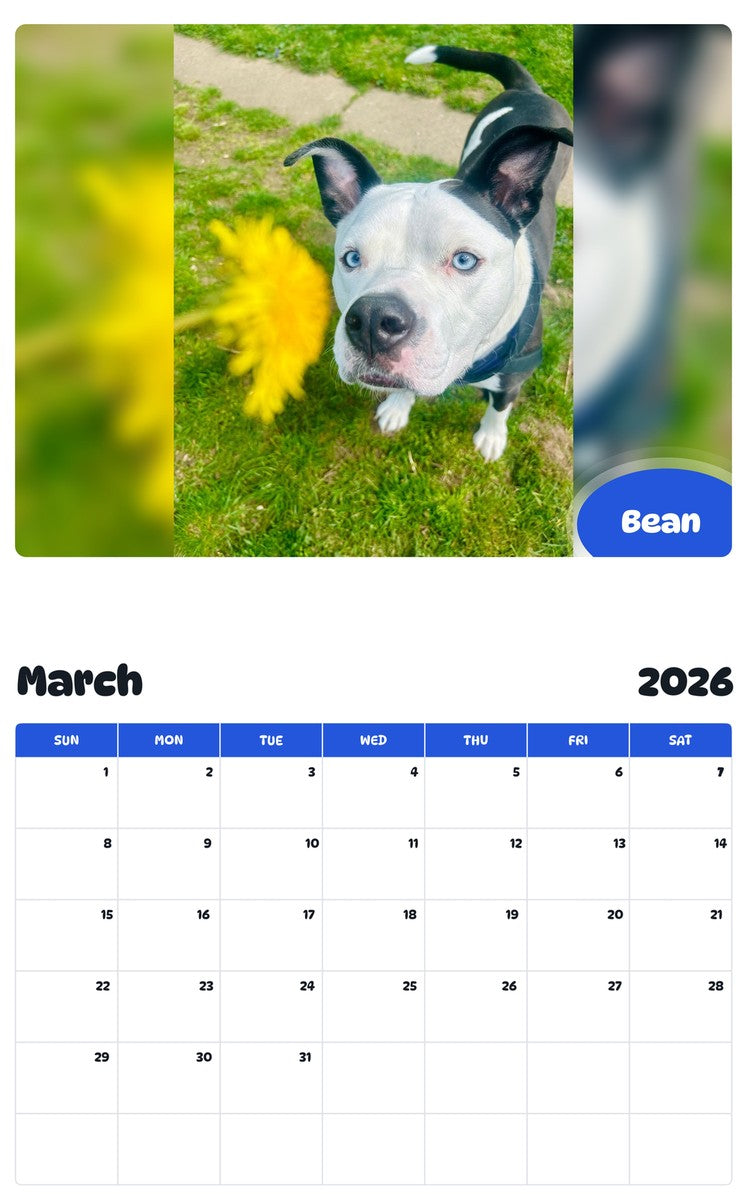 November 2025 - October 2026 Bean - Pawidols Pet Calendar