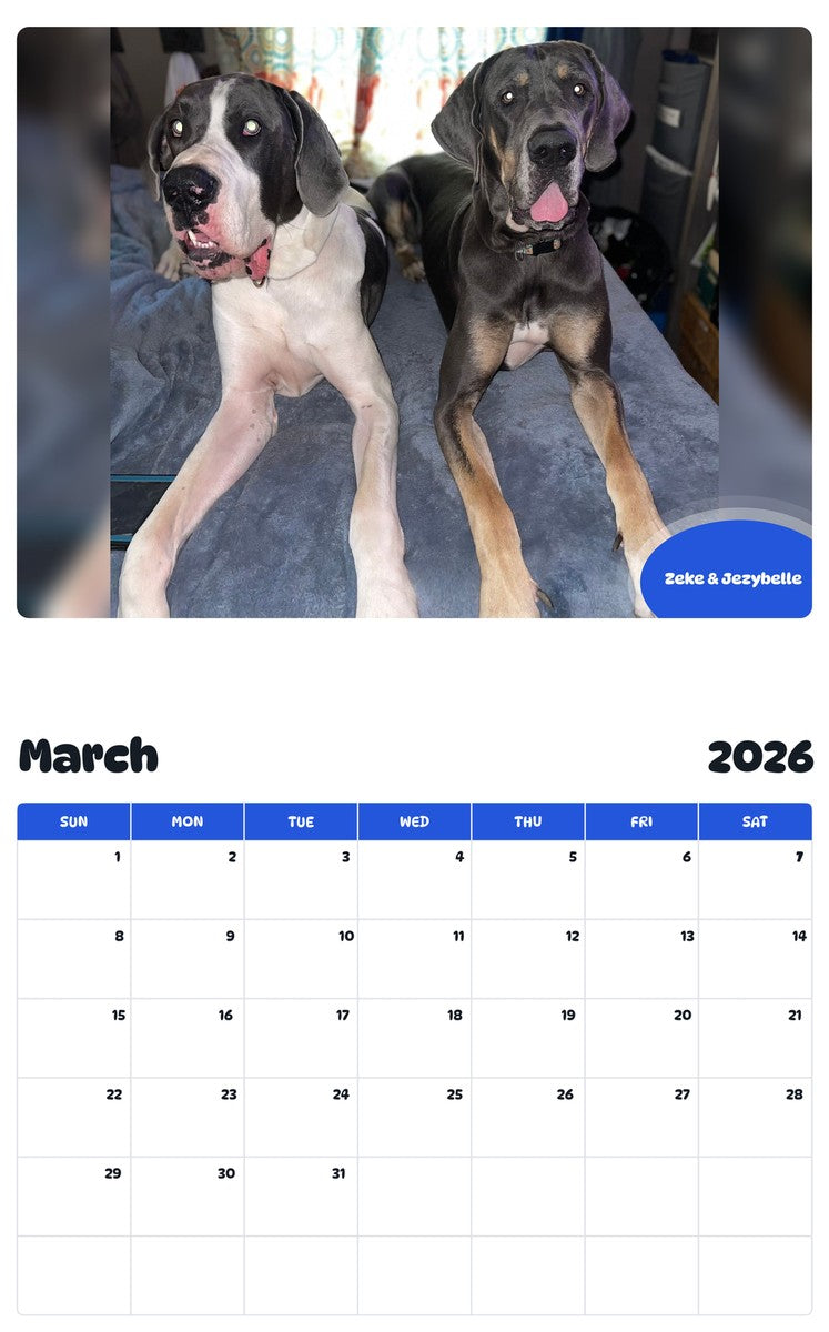 November 2025 - October 2026 Zeke & Jezybelle - Pawidols Pet Calendar