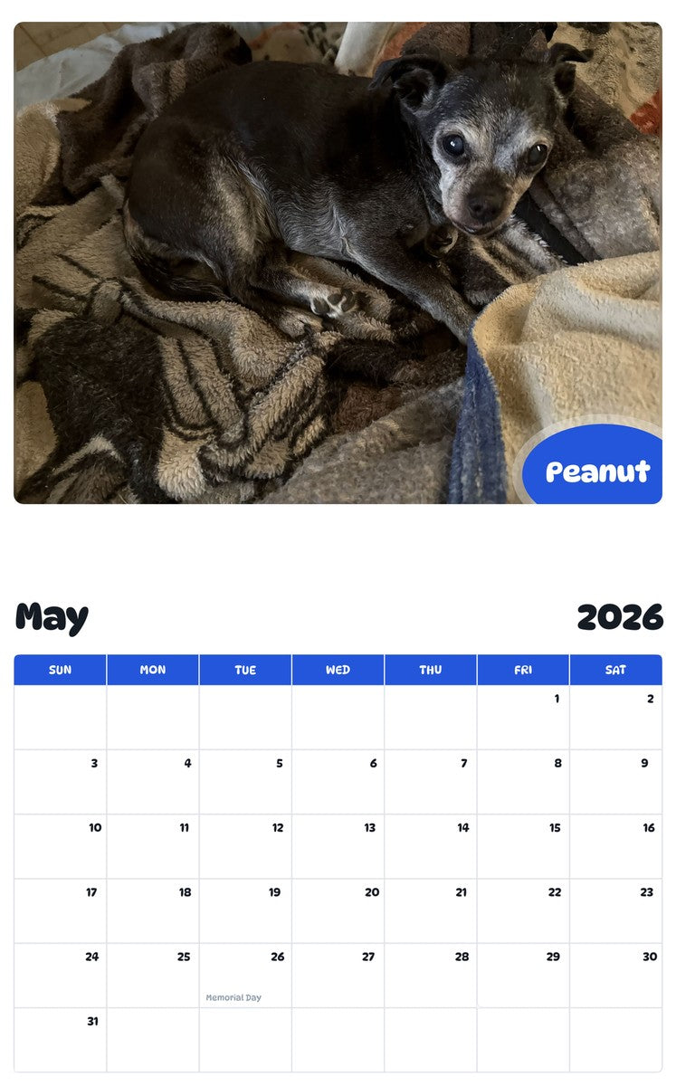 2026 - 2027 Peanut - Pawidols Pet Calendar