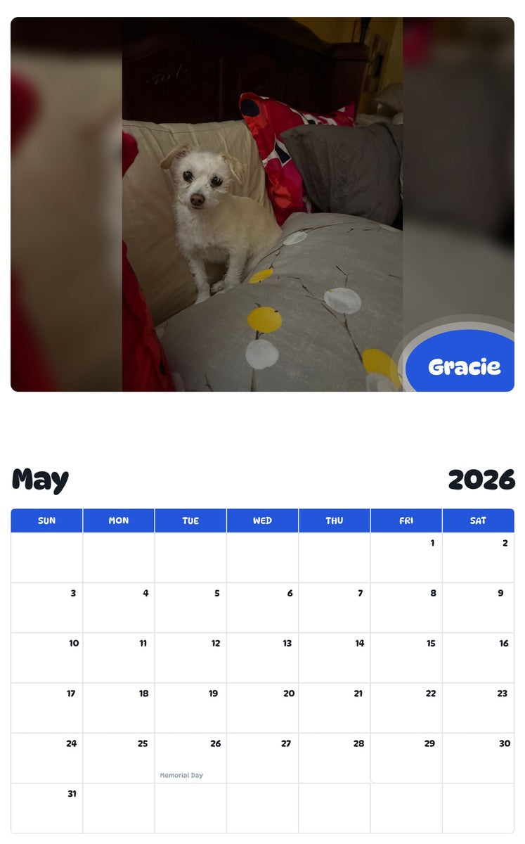 2026 - 2027 Gracie - Pawidols Pet Calendar