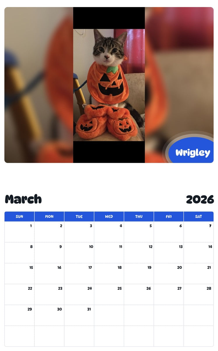 November 2025 - October 2026 Wrigley - Pawidols Pet Calendar
