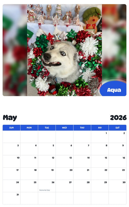 2026 - 2027 Aqua - Pawidols Pet Calendar