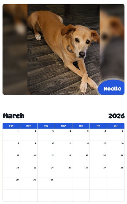 November 2025 - October 2026 Noelle - Pawidols Pet Calendar