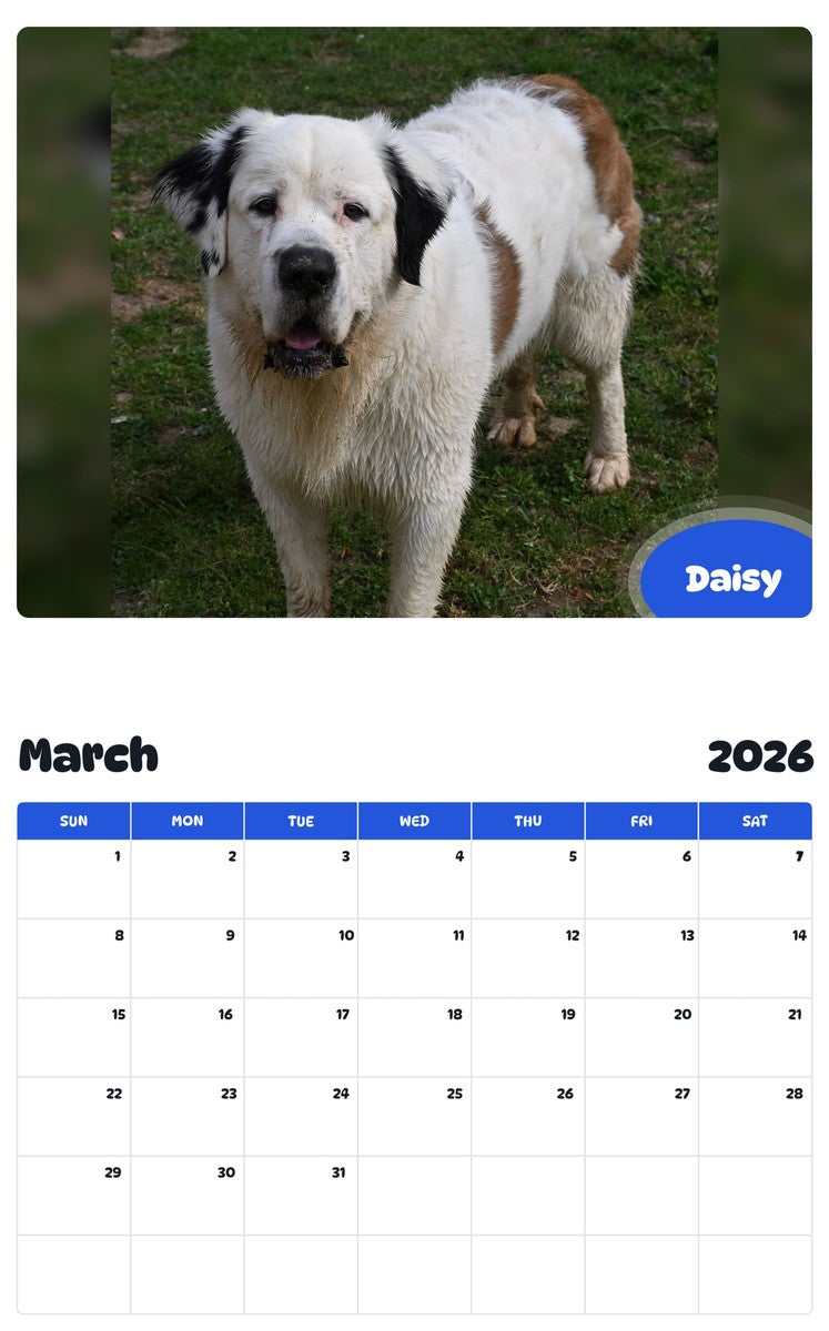 November 2025 - October 2026 Daisy - Pawidols Pet Calendar