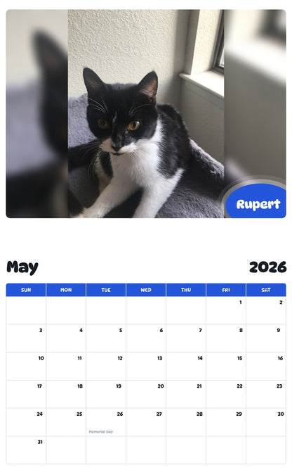 2026 - 2027 Rupert - Pawidols Pet Calendar