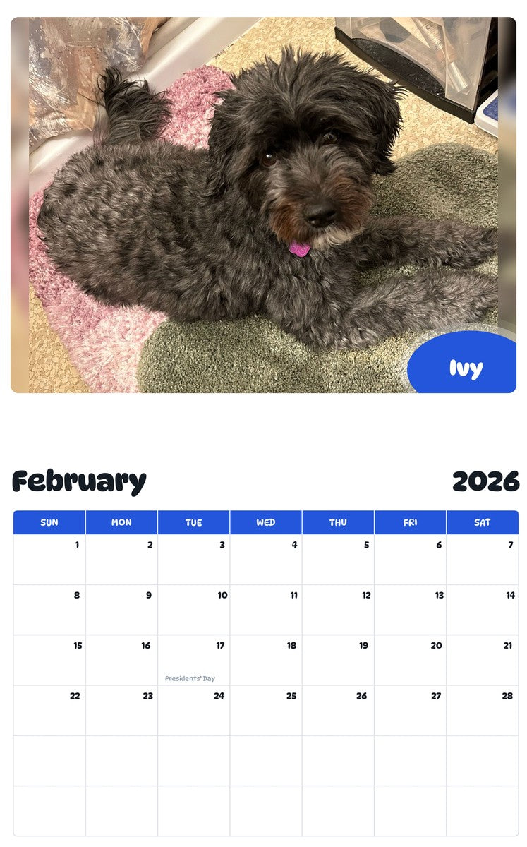 October 2025 - September 2026 Ivy - Pawidols Pet Calendar