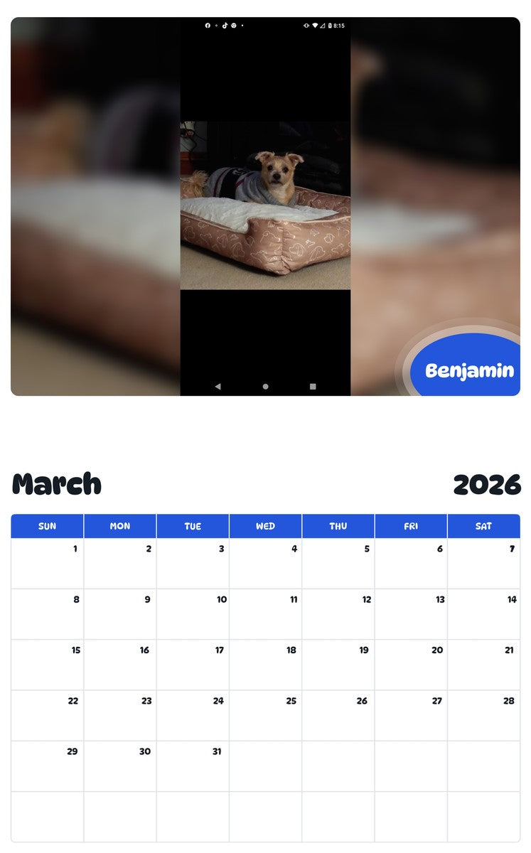 November 2025 - October 2026 Benjamin - Pawidols Pet Calendar