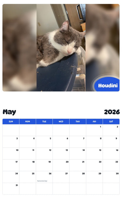 2026 - 2027 Houdini - Pawidols Pet Calendar