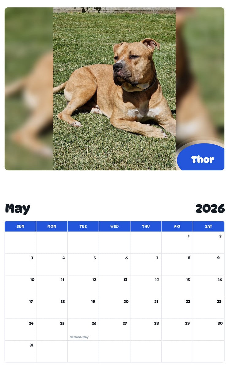 2026 - 2027 Thor - Pawidols Pet Calendar