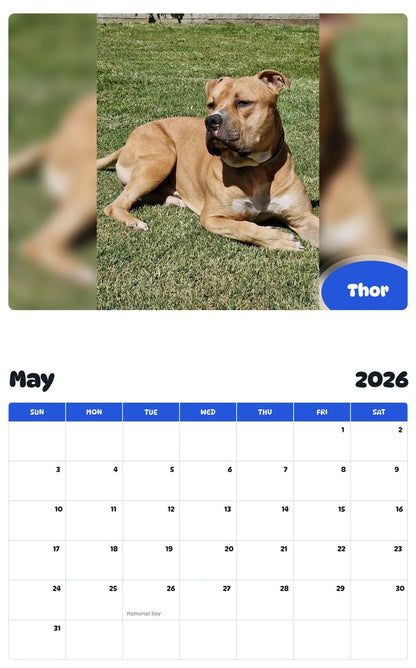 2026 - 2027 Thor - Pawidols Pet Calendar
