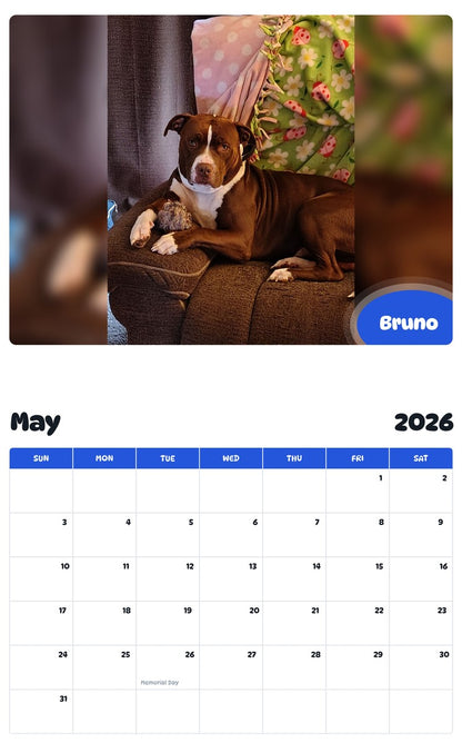 2026 - 2027 Bruno - Pawidols Pet Calendar