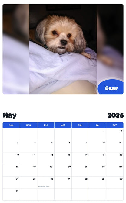 2026 - 2027 Bear - Pawidols Pet Calendar