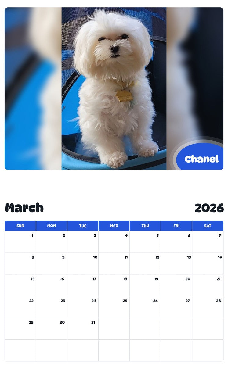 November 2025 - October 2026 Chanel - Pawidols Pet Calendar