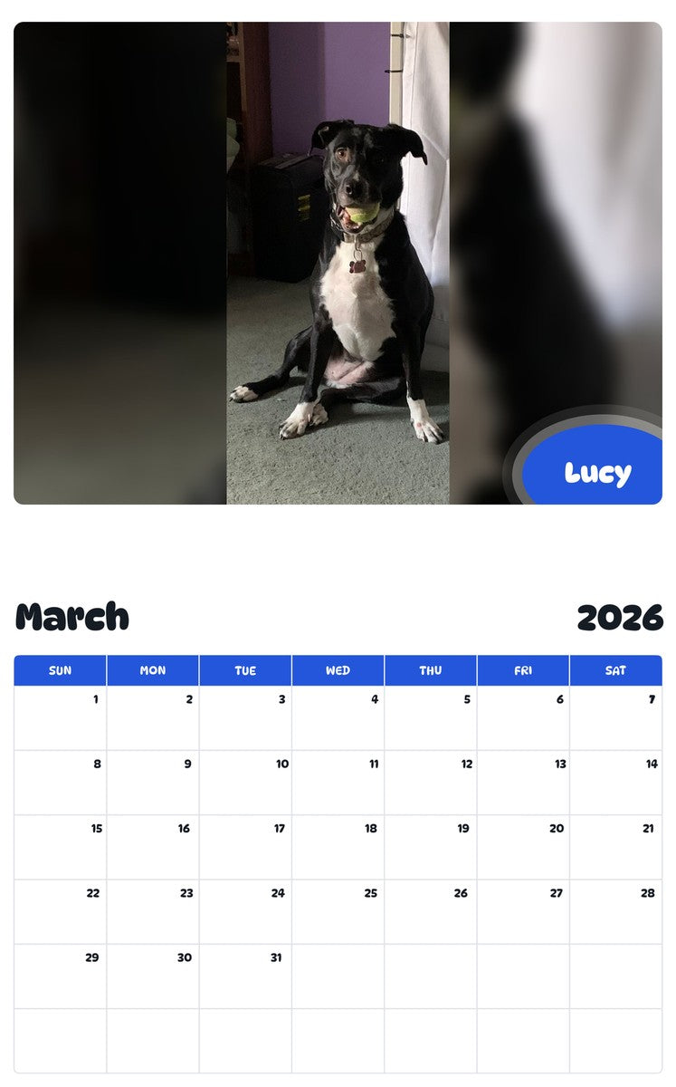 November 2025 - October 2026 Lucy - Pawidols Pet Calendar