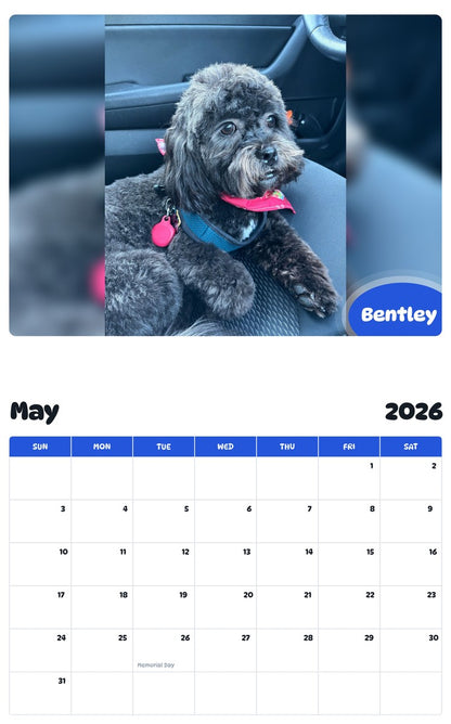2026 - 2027 Bentley - Pawidols Pet Calendar