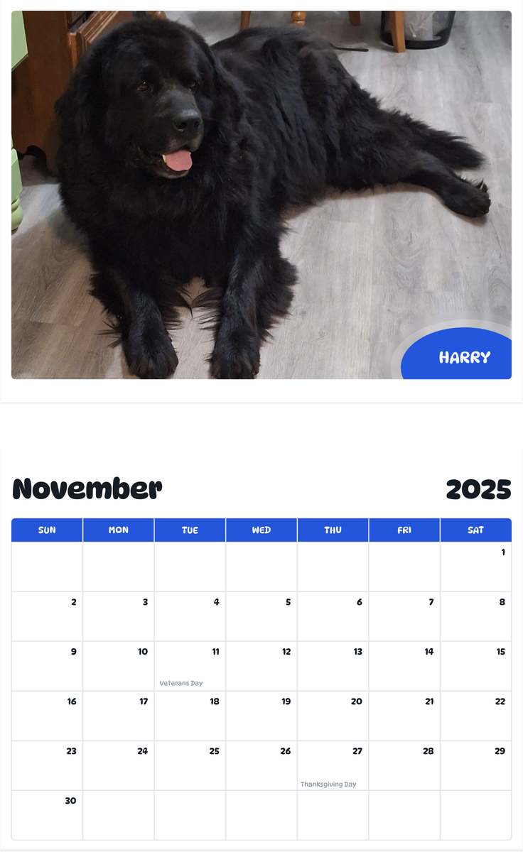 July 2025 - June 2026 Harry - Pawidols Pet Calendar