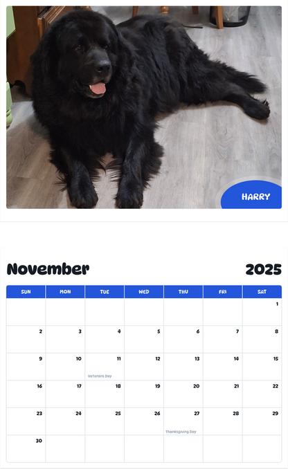 July 2025 - June 2026 Harry - Pawidols Pet Calendar