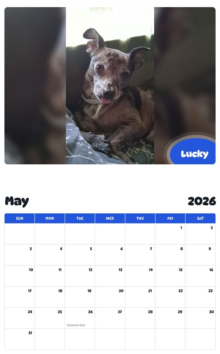 2026 - 2027 Lucky - Pawidols Pet Calendar