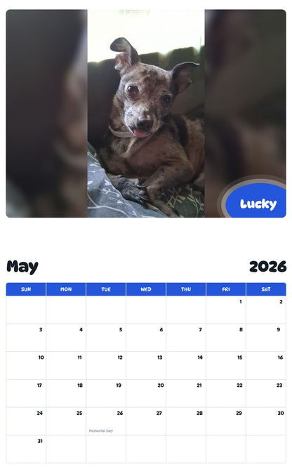 2026 - 2027 Lucky - Pawidols Pet Calendar
