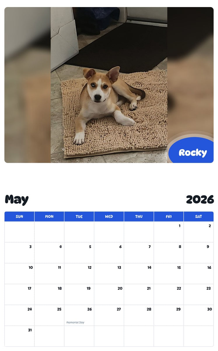 2026 - 2027 Rocky - Pawidols Pet Calendar